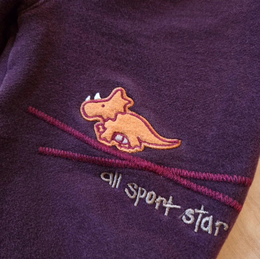 Vintage 1990s Y2K Carter's maroon and beige dinosaur sports sweatsuit set